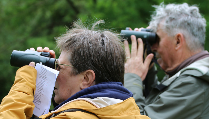 Comptage participatif d'oiseaux © Nicolas Macaire / LPO